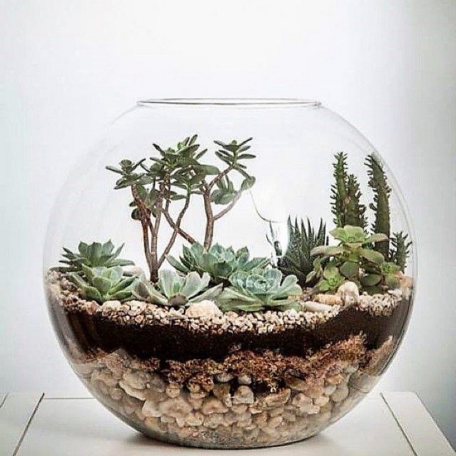 glass terrarium idea