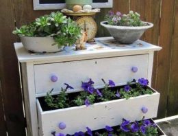 Great Planter Ideas with Used Drawers