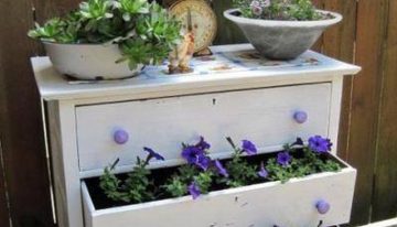 Great Planter Ideas with Used Drawers