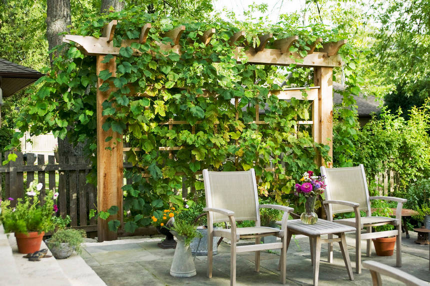 Vertical Garden Designs (33)