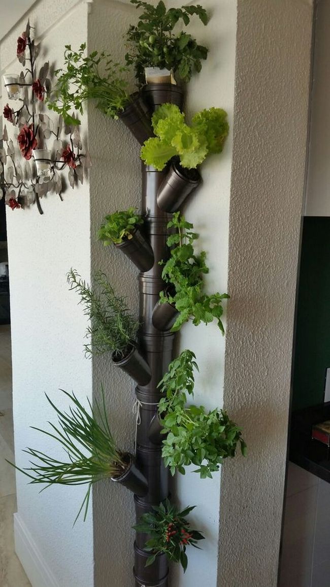 pvc pipe garden and planter ideas (26)