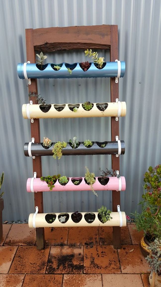 pvc pipe garden and planter ideas (9)