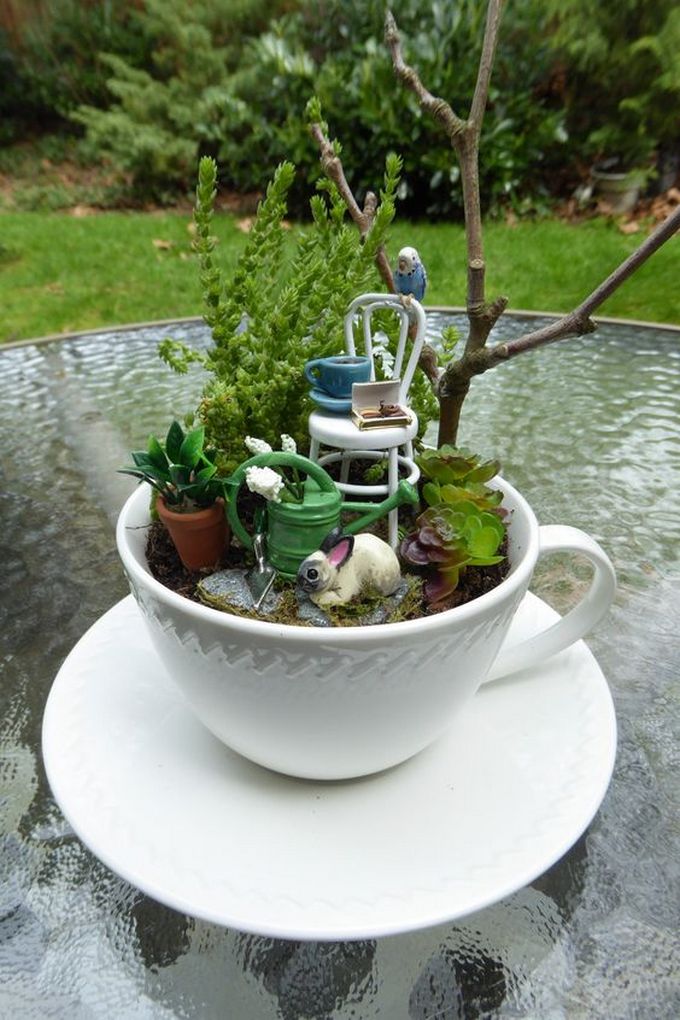 Tea cup fairy garden 6